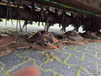 Maaier McHale R 3100 maaier