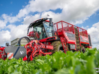 Bietenrooier Vervaet Q616