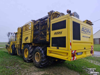 Bietenrooier Vervaet Ropa Tiger V8-3 Sugar Beet Harvester / Bietenrooier / Rubenroder