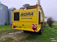Bietenrooier Vervaet Ropa Tiger V8-3 Sugar Beet Harvester / Bietenrooier / Rubenroder
