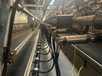 Melkinstallatie DeLaval DELAVAL Swingover 2x20