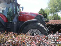 Tractor / Trekker Case Optum 270 CVX