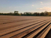 Rijenfrees Struik Twin Rotor (vollevelds)frees