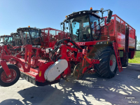 Bietenrooier Vervaet Q616