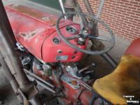 Oldtimers Massey Ferguson MF 35 3cyl diesel