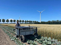 Wiedegge  Autonome Laserweeder / Laserwieder / Robotwieder