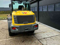 Shovel / Wiellader / Kniklader Wacker Neuson WL 70