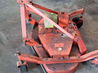 Weidebloter Caroni 125