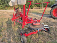 Rugger / Hark / Zwadhark Lely Hibiscus 425