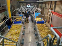 Overige reiniging- en veegmachines en toebehoren MCR Rvs trommelwasser drum washer waschanlage