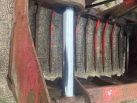 Kuilhapper  Kuilhapper / 1,60m