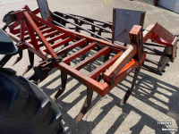 Cultivator Evers Grubber mit Rohrstabwalze
