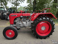 Tractor / Trekker Steyr T84