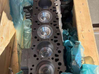 Motor FPT FPT 6 cilinder