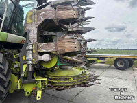 Maisbek Claas ORBIS 600 SD
