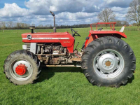 Tractor / Trekker Massey Ferguson 178 4wd