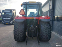 Tractor / Trekker Massey Ferguson 6445