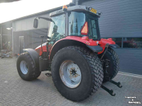 Tractor / Trekker Massey Ferguson 6445
