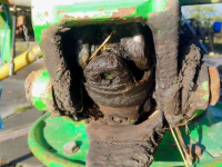 Schudder Deutz-Fahr 5000
