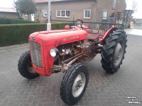 Oldtimers Massey Ferguson 35