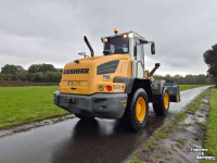 Shovel / Wiellader / Kniklader Liebherr L 524