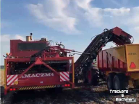 Aardappelrooier Amac ZM4