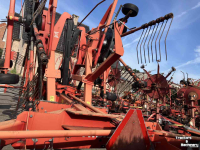 Rugger / Hark / Zwadhark Lely Hibiscus 805