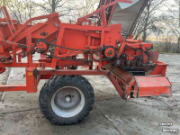 Uienrooier Amac f2