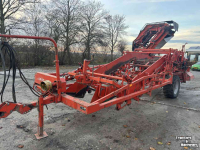 Uienrooier Amac f2
