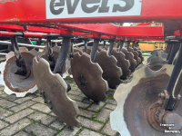 Schijveneg Evers Orlov Schijveneg