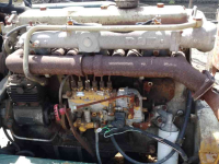 Stationare motor/pomp set DAF Beregeningspomp met Caprari 80 4/3a pomp