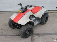 ATV / Quads Yamaha Breeze 125cc quad ATV