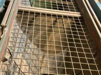 Sorteermachine Demco Complete sorteerinstallatie