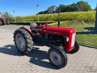Compact tractor Massey Ferguson 35