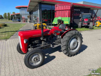 Compact tractor Massey Ferguson 35