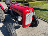 Compact tractor Massey Ferguson 35