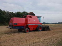 Maaidorser / Combine Massey Ferguson 31