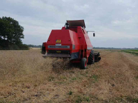 Maaidorser / Combine Massey Ferguson 31