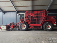 Bietenrooier Vervaet Vervaet 617