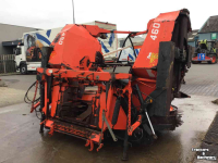 Maisbek Kemper 460