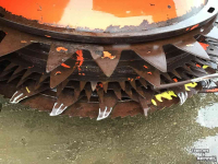 Maisbek Kemper 460