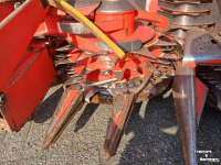 Maisbek Kemper 375