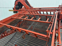 Uienrooier Amac F2 uienlader