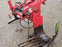 Kluitenrooier  Zij rooier 50 cm