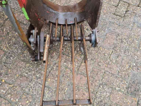 Kluitenrooier  Zij rooier 50 cm