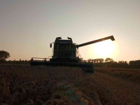 Maaidorser / Combine Fendt 6335C