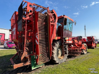 Bietenrooier Matrot M41