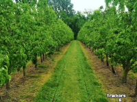 Overige McConnel FRUITAERATOR Fruitteelt Cultivator/ Obst- und Weinbau Tiefenlockerer