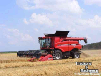 Maaidorser / Combine Case-IH Axial Flow 8230