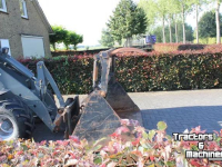 Shovel / Wiellader / Kniklader Giant V 6001T